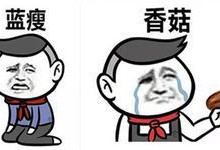 藍(lán)瘦 香菇！距離二建只有298天了  你們報(bào)考哪個(gè)？