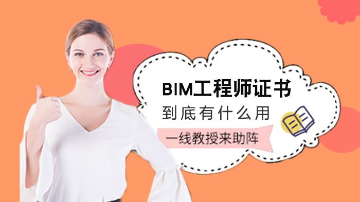 bim工程師有注冊(cè)bim工程師可以注冊(cè)嗎  第1張